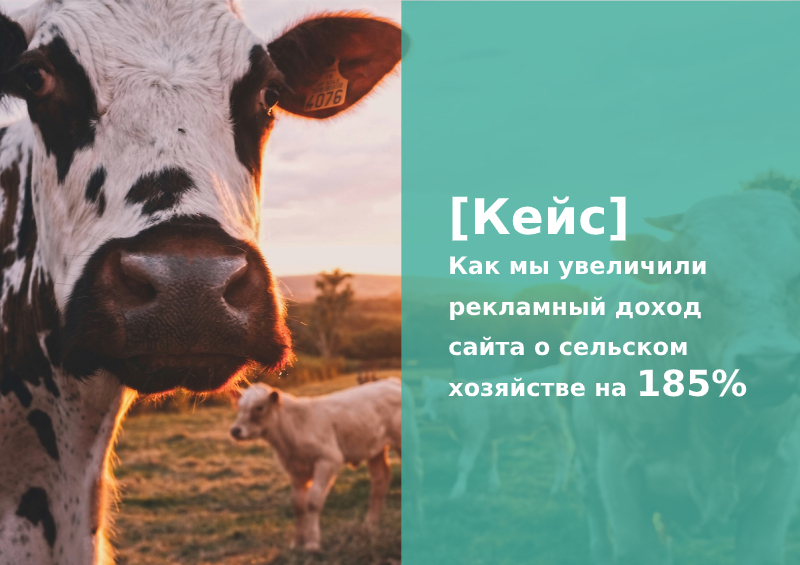 Кейс от Oblivki.biz: как мы увеличили рекламный доход сайта о сельском хозяйстве на 185%